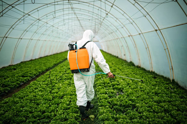 Best Ant Control Services  in Molalla, OR