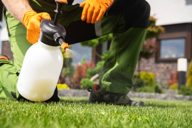 Trusted Molalla, OR Pest Control Experts