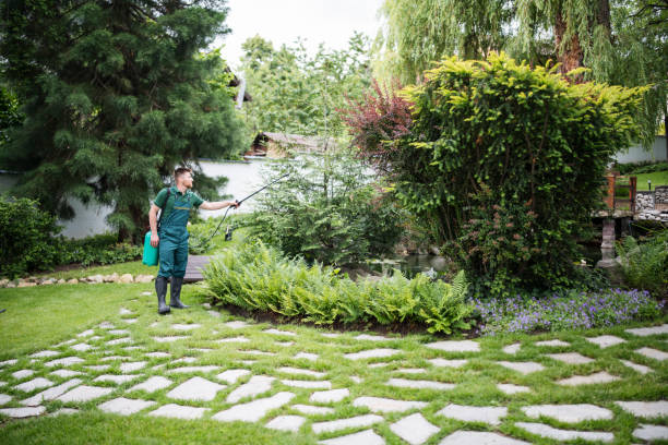 Best Rodent Control Near Me  in Molalla, OR
