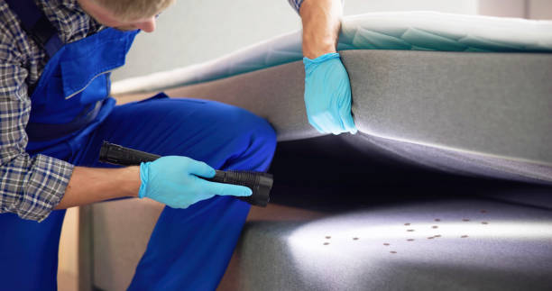 Best Exterminator Services  in Molalla, OR