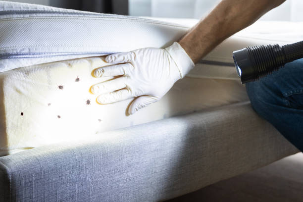 Best Best Pest Control Companies  in Molalla, OR